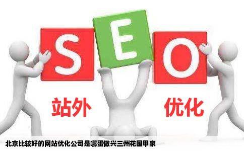 北京比较好的网站优化公司是哪蛋做兴三州花国甲家