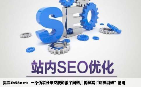 tb58net这个什么分享交流进步刷砖方法分享骗子网站一个大家千万