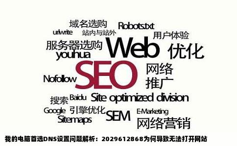 我的电脑用的首选DNS是2029612868可是老是无法打开网站一些