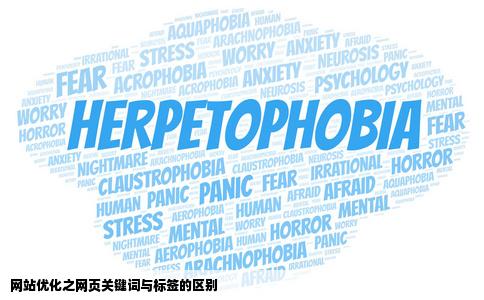 网站优化之网页关键词与标签的区别