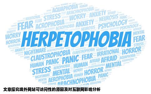 有D国外网站被屏蔽点先可以访问得倒