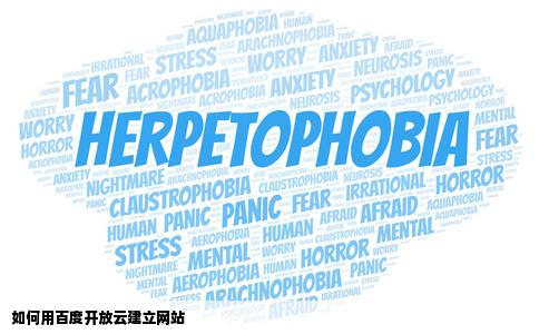 如何用百度开放云建立网站