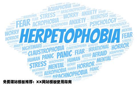 那个免费建站的网站模板好用