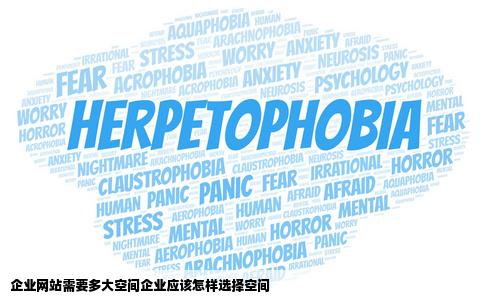 企业网站需要多大空间企业应该怎样选择空间