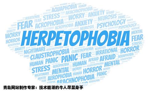 能在青岛找到网站制作的牛人吗