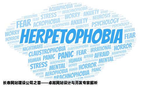 网站建设长春那家公司最的最好