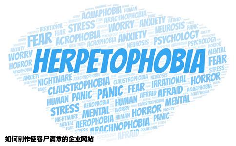 如何制作使客户满意的企业网站